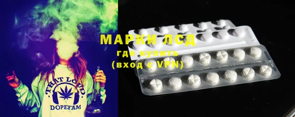 гидра Нея