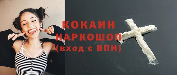 прущие грибы Надым