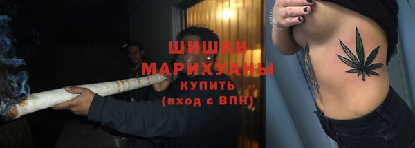 стаф Шадринск