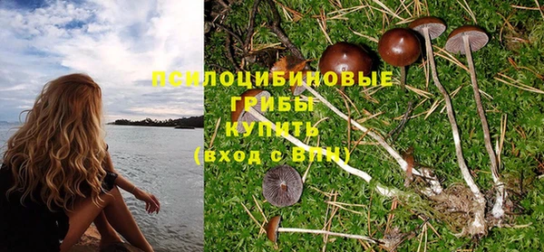 прущая мука Нефтекумск