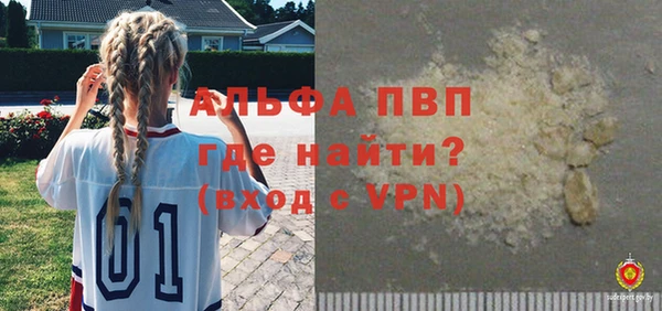 прущие грибы Надым