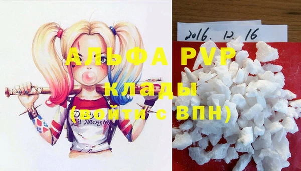 прущие грибы Надым