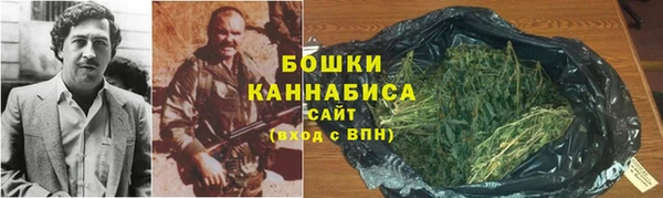 гидра Нея