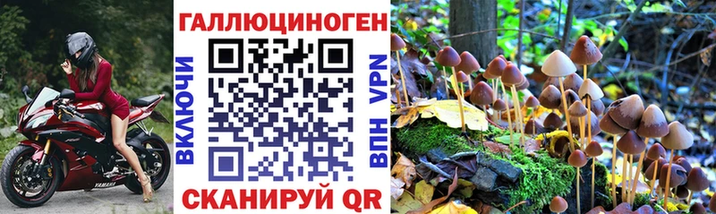 Псилоцибиновые грибы мухоморы  где найти   Нелидово 
